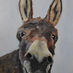 Smiley Donkey
