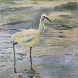 Reflections of Elegance